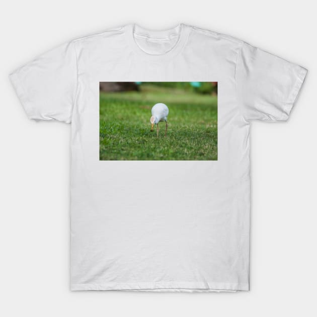 Cattle Egret T-Shirt by KensLensDesigns